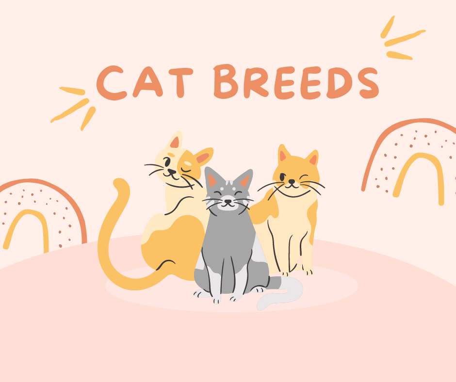 cat breeds